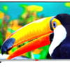 PCL LED Android 4K - 50"